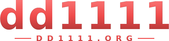 dd1111 logo